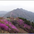 동림동 주민센터 앞 이미지