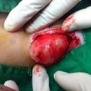 어진종합동물병원 이미지