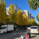 중산복공인중개사사무소 | [생애 첫 이사 기록 #1] 부동산 방문, 집 내놓기 / 매도 계약 (feat.대구)