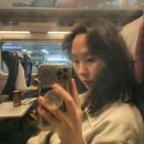 천상의 나무 | 20260504 가족여행 @ 부산