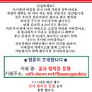 카페동행 - 안동시 강남5길 113-14 | 카페동행