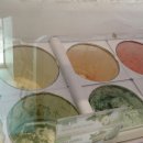 배스킨라빈스(신호점) 이미지