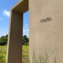 인더플럼 | 제주 서쪽 숙소 추천 - 대가족 프라이빗 감성 숙소 인더플럼 후기