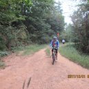 목현동 59 | 쉐도우수자전거 길: [임도]미완(未完)의 모현 정광산 임도“법화산 임도/천주교묘원-포은묘-마락산 용인...