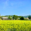 청주목장 이미지