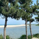 감나무목장 이미지