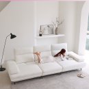 이지클린 이미지