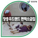 소림 산우회 정기산행 (장흥 우드랜드)12월7일) 이미지