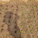 흙뿌리 농장 | 주말농장 1주차 후기 밭 정리 씨앗 심기부터 모종까지 꿀팁 총정리 (초보 필수)