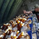 김창기머쉬룸팜 이미지