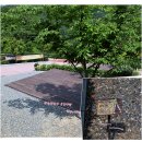 수락 캠핑장 이미지