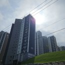 용두천로44길 | 찢어진 벽지 보수 복원 방법