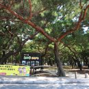 송림쉼터 이미지