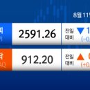 피앤이바이오 이미지