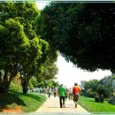 추억카페 이미지