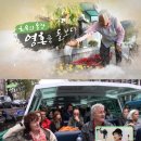 김영옥농장 이미지