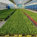 북창원농협 이미지