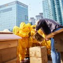 꽃들 태양광발전소 이미지