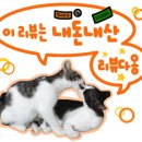 펫비서 이미지