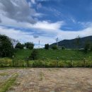 의령나루캠프 이미지