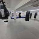 위너 복싱 이미지