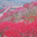 금산-13 뉴시스