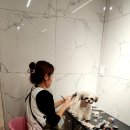 heav.pet 이미지