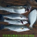 해오름피싱