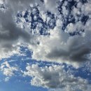 대지를 바라보며 이미지