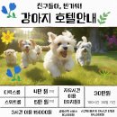 애견호텔 이미지