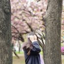 주공8단지 이미지