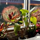 곰소펜션 | 부안 아이랑 가기 좋은 곰소항맛집 곰소 자매식당 재방문 리얼 해후기