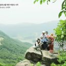 소피아케이 티스토리