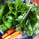 김성환 농장 이미지