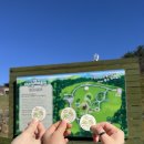 유동목장 | 대관령양떼목장