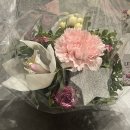 선재약국 | 12월 4주 차 파리 일상