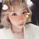 발그레 이미지
