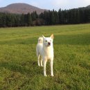 무지개민박 이미지