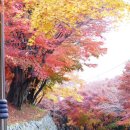 머물다 ▼여수 이미지