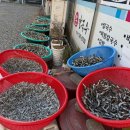 [양산범어 맛집 소문난 손칼국수] 추운날은 칼국수가 땡겨요(오돈내산)