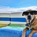 수락동물병원 이미지