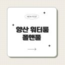 폴앤풀-양산