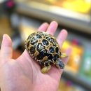 이명 태양광발전소 이미지