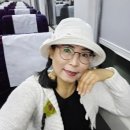 군학마을 군영구미 | 광주전남가볼만한곳 목포보성선 기차타고보성한바퀴 풍차가있는초록잎다원 전일리 팽나무숲 천연기념물