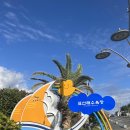 표선해수욕장(샤워장) 이미지