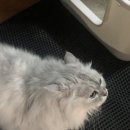 동환목욕탕 이미지