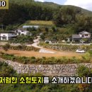 무릉도원면-43 이미지