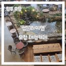 (주)아산마트오창점 | 오창 대형카페 '험블라이언' 디저트에 분위기까지 완벽한 나만의 오창 또간집