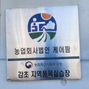 농업회사법인(유)케어팜 이미지