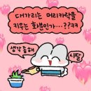 꿀순이떡볶이